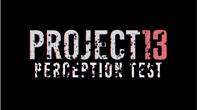 PROJECT 13 Perception Test