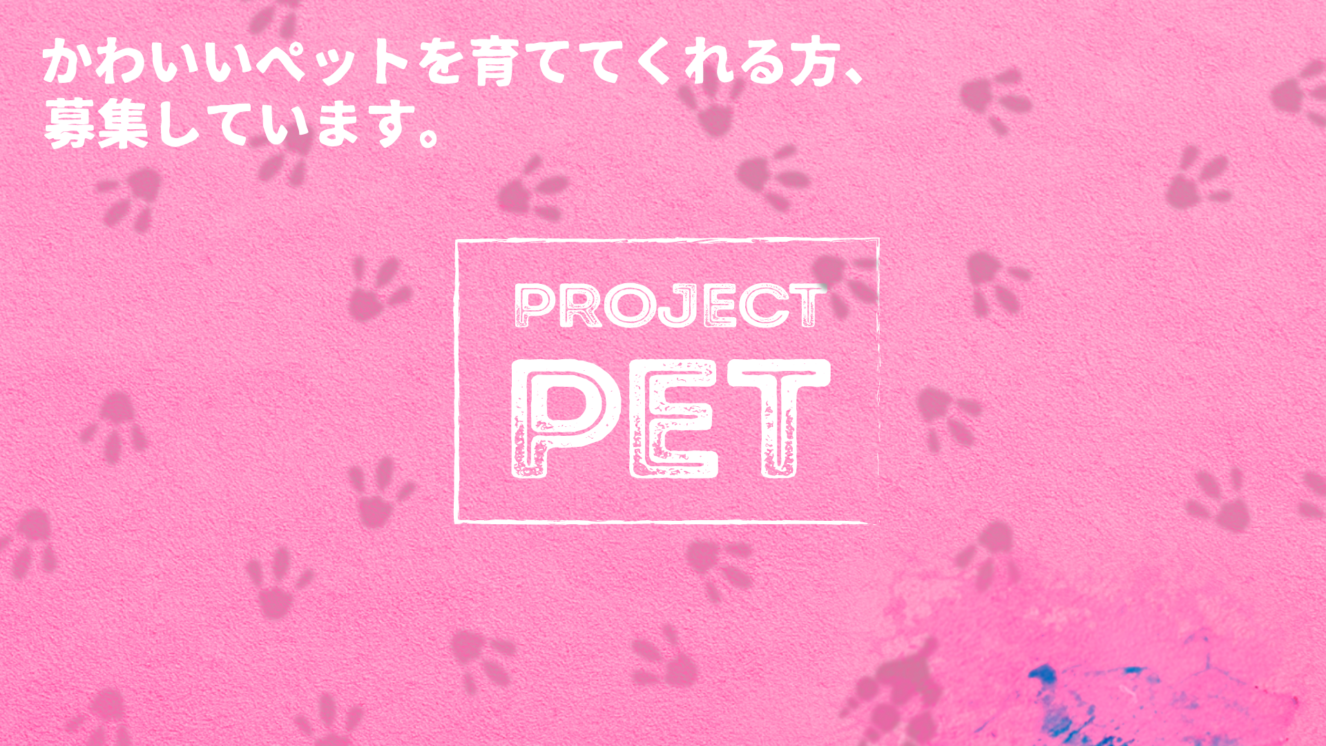 Project PET